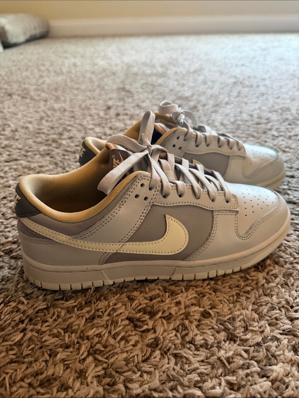 Nike Dunk Low Retro